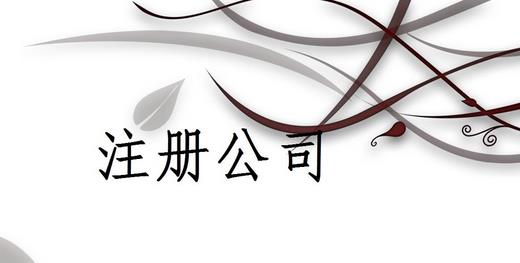注冊有限公司要求
