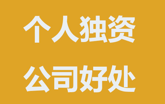 注冊個人獨資公司