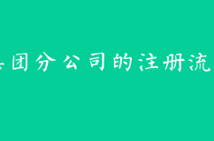 集團分公司的注冊流程