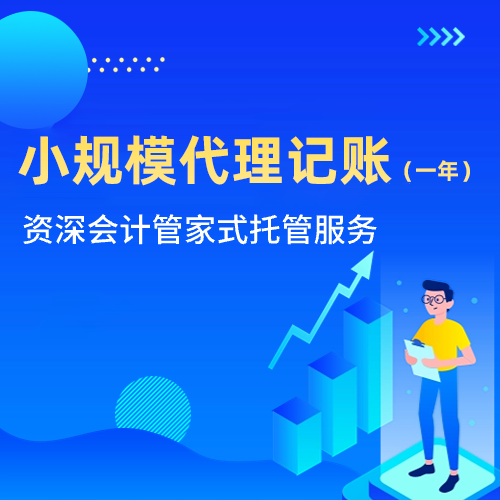 小規模代理記賬（一年）